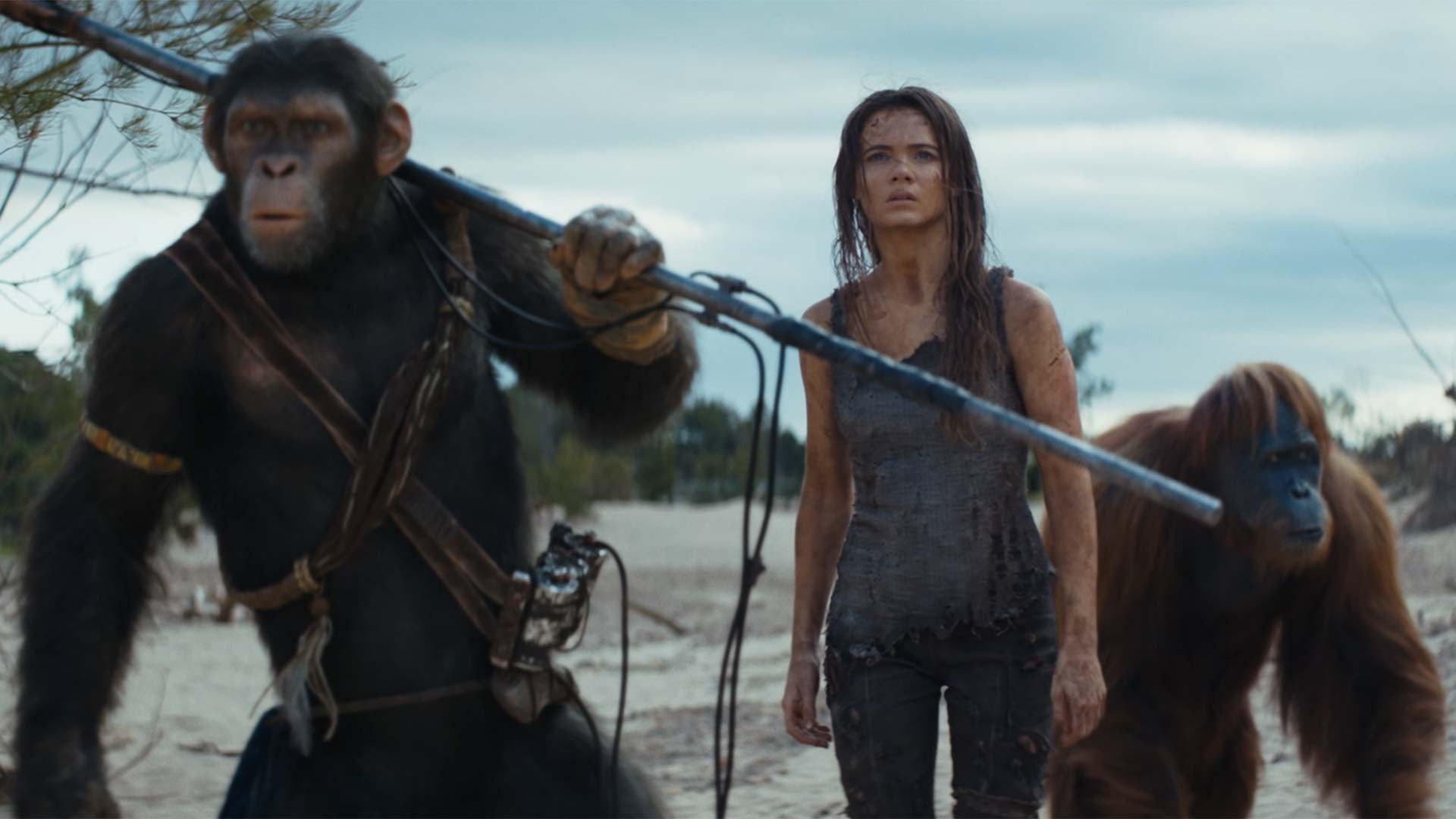 El nuevo tráiler de 'El reino del planeta de los simios' muestra la importancia del personaje de Freya Allan